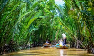 3-day Mekong Delta Tour