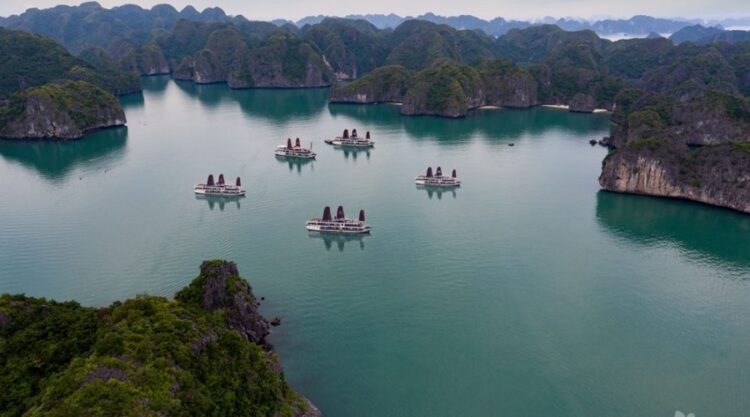 Orchid Trendy Cruise – 3 days 2 nights