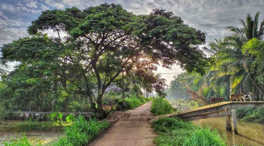 Mekong Delta 3 Days Tra Vinh – Can Tho – Ben Tre 3 Days – 2 Nights - Image 14