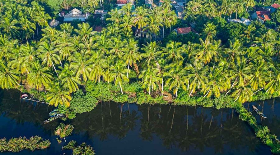 Mekong Delta 3 Days Tra Vinh – Can Tho – Ben Tre 3 Days – 2 Nights - Image 15