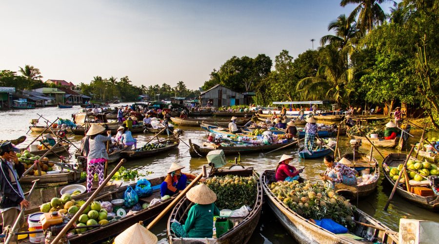 Mekong Delta Tour and Cai Rang floating market 2 Days 1 Night - Image 6