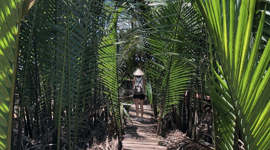 Mekong Delta 3 Days Tra Vinh – Can Tho – Ben Tre 3 Days – 2 Nights - Image 17