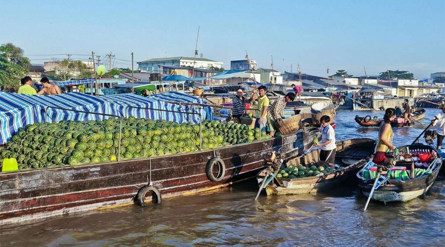 Mekong Delta Tour and Cai Rang floating market 2 Days 1 Night - Image 7