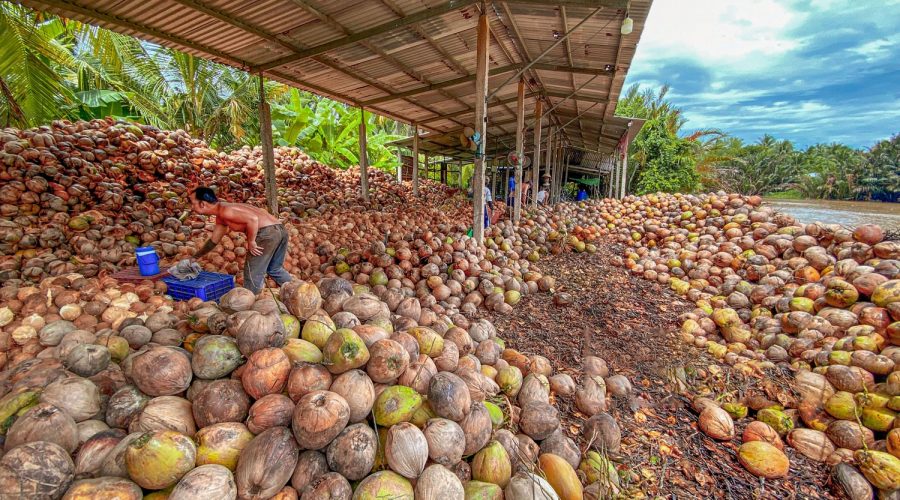 Mekong Delta 3 Days Tra Vinh – Can Tho – Ben Tre 3 Days – 2 Nights - Image 4