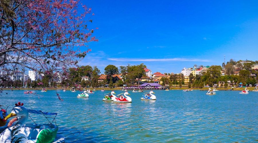Dalat – 1 Day City & Countryside Tour - Image 4