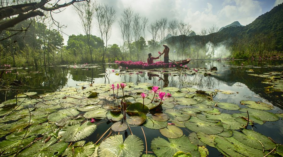Perfume Pagoda Tour Full Day - Image 2