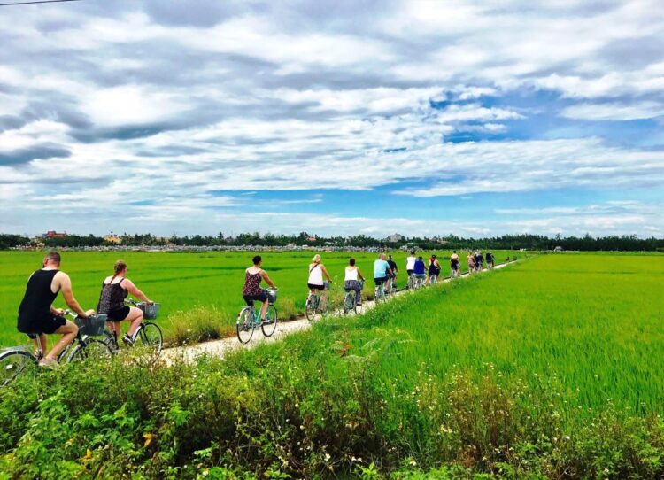 Hoi An countryside and farmer experiences by jeep / bicycle (1 day)