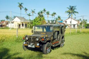 Hoi An countryside and farmer